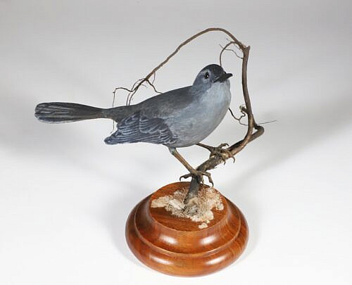 Diana Rich Carved Wood Sculpture of a Gray Catbird on a Branch