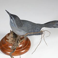 Diana Rich Carved Wood Sculpture of a Gray Catbird on a Branch