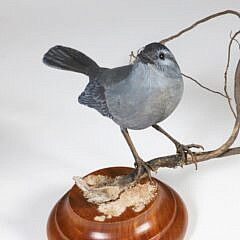 Diana Rich Carved Wood Sculpture of a Gray Catbird on a Branch