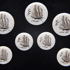 Boxed Set of Scrimshaw Buttons