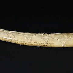 Carved and Scrimshawed Walrus Tusk, 19th Century