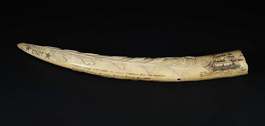 Carved and Scrimshawed Walrus Tusk, 19th Century