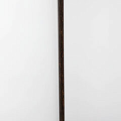 Whaler Made Scrimshaw Walking Stick “Ship Sirius”, 19th Century
