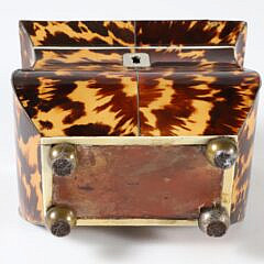 British Regency Single Compartment Tea Caddy, 19th Century