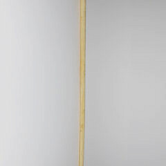 Whaler Made Smooth Grip Walking Stick, 19th Century