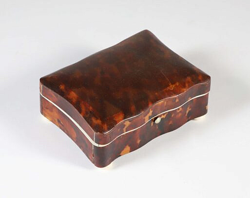 British Regency Antique Tortoiseshell Box, 19th Century, on carved feet