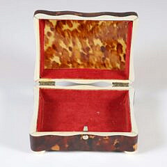 British Regency Antique Tortoiseshell Box, 19th Century