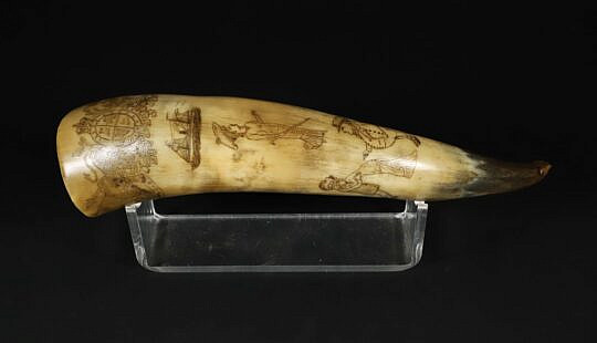 English Engraved Horn, Witch Carved Dog Head Top, 19th Century
