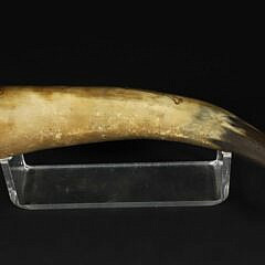 English Engraved Horn with Carved Dog Head Top, 19th Century