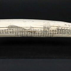 19th Century Scrimshaw Tusk "This Day The Whale Shall Die"