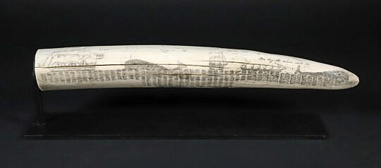 19th Century Scrimshaw Tusk "This Day The Whale Shall Die"