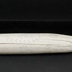 19th Century Scrimshaw Walrus Tusk, Engraved on Both Sides