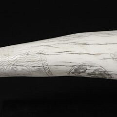19th Century Scrimshaw Walrus Tusk, Engraved on Both Sides