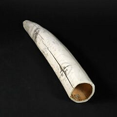19th Century Scrimshaw Walrus Tusk, Engraved on Both Sides