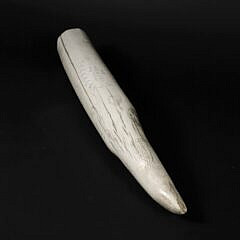 19th Century Scrimshaw Walrus Tusk, Engraved on Both Sides