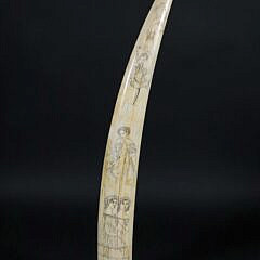 American Scrimshaw Antique Walrus tusk, 19th Century