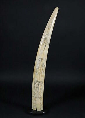 American Scrimshaw Antique Walrus tusk, 19th Century