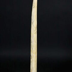 American Scrimshaw Antique Walrus Tusk, 19th Century