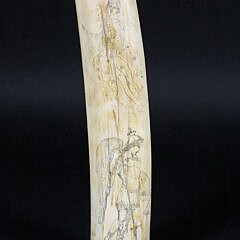 American Scrimshaw Antique Walrus Tusk, 19th Century