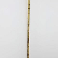 Tiger’s Eye Ball Grip Walking Stick, 19th Century