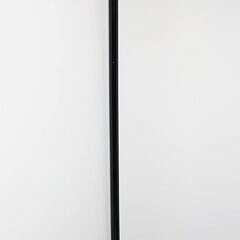 Rose Quartz Ball Knob Walking Stick, 19th Century