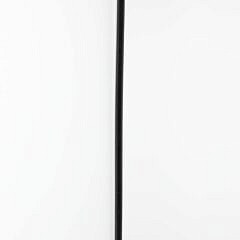 Agate Ball and Sterling Silver Mounted Walking Stick, 19th Century