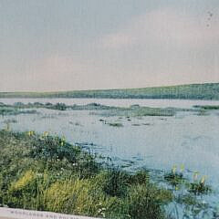 Two Framed Vintage H. Marshall Gardiner Oversize Nantucket Postcards