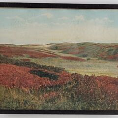 Signed Vintage H. Marshall Gardiner Hancolored Nantucket Photograph “Out in the Moors”