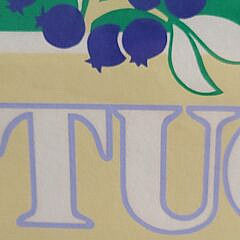 Vintage 1982 Donna Thompson Marjorie Cormier Nantucket Island Serigraph Print Poster