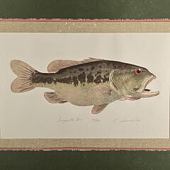 Vintage Signed Limited Edition Largemouth Bass Fish Serigraph Print