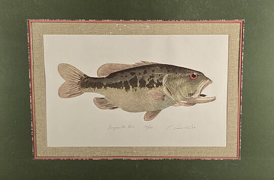 1748-1865 Fish Lithograph A