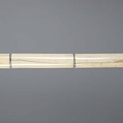 Elaborately Scrimshawed Asian Carved Bone Walking Stick, 19th Century
