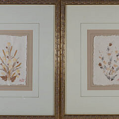 Pair of Framed Botanicals Pressed on Paper