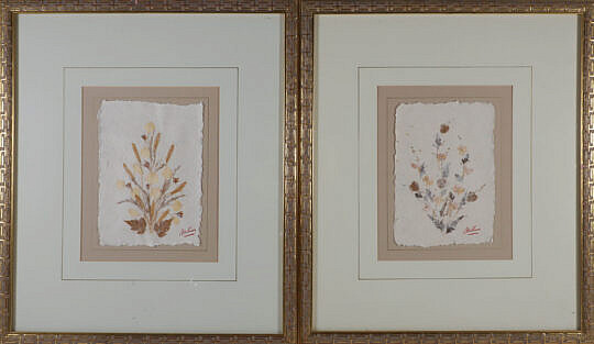Pair of Framed Botanicals Pressed on Paper