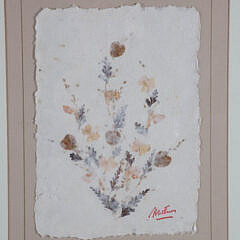 Pair of Framed Botanicals Pressed on Paper