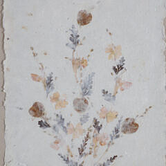 Pair of Framed Botanicals Pressed on Paper