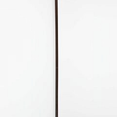 European Silver and Gold Filled Engraved Walking Stick, 19th Century