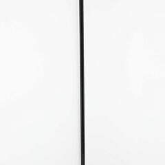 European Amethyst, Silver, and Pearl Grip Walking Stick, 19th Century