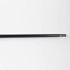 European Amethyst, Silver, and Pearl Grip Walking Stick, 19th Century