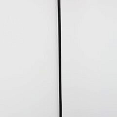 Continental Enamel and Sterling Silver Duck Head With Glass Eyes Walking Stick, 19th Century