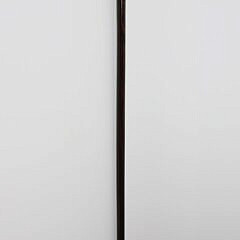 Carved Monkey With Telescope Grip Cane, 19th Century