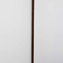 Carved Dolphin Cane, 19th Century