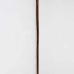 Carved Chinese Dragon Grip Cane, 19th Century