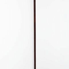 Egyptian Carved Stone Scarab and Engraved Silver Walking Stick