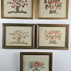 4673-955 Five Theorems A