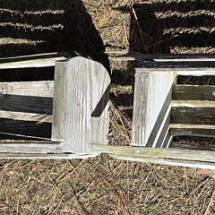 Two Vintage Figural Teak Animal Planters, 20th century