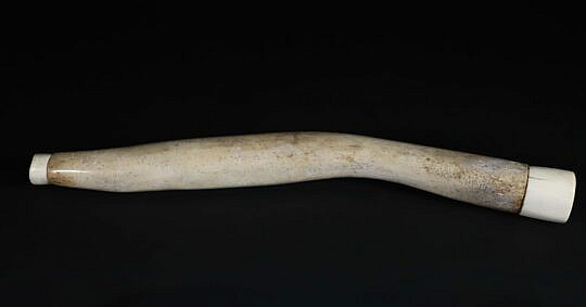 19th Century Ousic with Ivory Tips