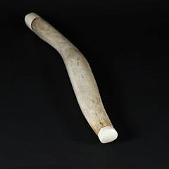 Ousic with Antique Ivory Tips , 19th Century
