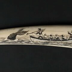 David Lazarus Scrimshaw Small Tusk
