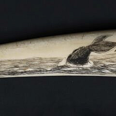 David Lazarus Scrimshaw Small Walrus Tusk Engraved with Active Whaling Scenes